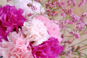 Close up a sweet bouquet of colorful carnation flower blossom with a small pink statice twigs 