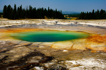 Yellowstone Geyser Green Pool Overlooking Forest