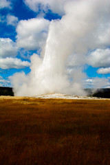 Old Faithful Geyser, Yellowstone National Park, Wyoming