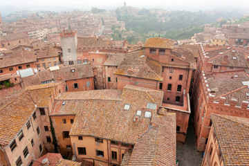 Misty cityscape of Siena with 14th century tower Torre del Mangia, Italy. Tuscany city roofs and old houses, UNESCO World Heritage Site