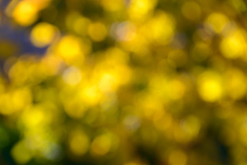 Abstract background with bokeh