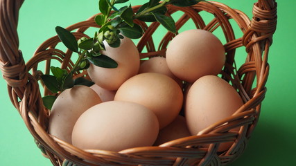 OLYMPUS DIGITAL CAMERA © Magorzata