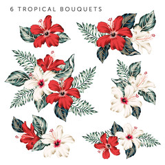 Set of the tropical red, white hibiscus flowers and leaves bouquets, white background. Vector floral illustration. Exotic plants. Summer beach design. Paradise nature © ojardin