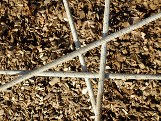 Several tight ropes cross each other outside under the sun forming an arrow head