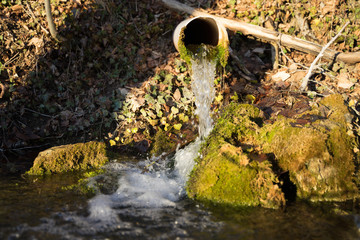 Wasser läuft aus Rohr im Wald mit Moos
