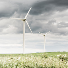 Fototapeta premium Wind farms in Scotland - wind turbines provide electricity (green energy) for households in UK