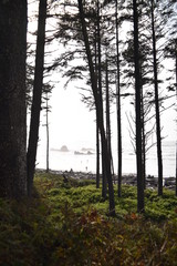 Olympic National Park, Washington state. U.S.A. October 17, 2017. Ruby Beach.