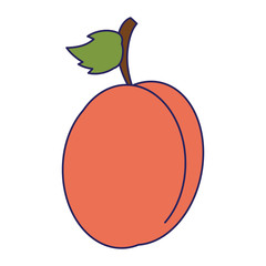 blueberry sweet fruit blue lines