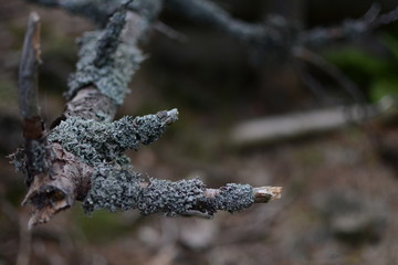 Górskie krajobrazy © Monika