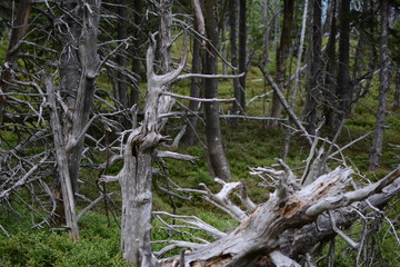 Górskie krajobrazy © Monika