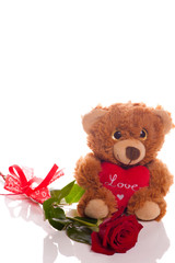 Teddy bear with red heart and rose on white