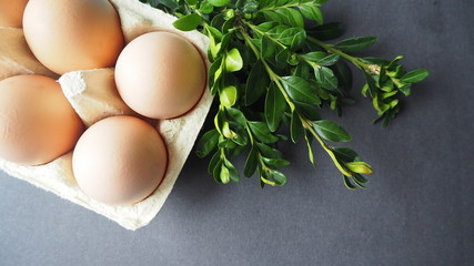 OLYMPUS DIGITAL CAMERA © Magorzata