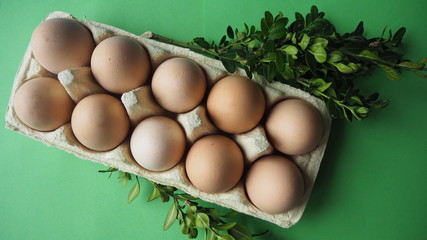 OLYMPUS DIGITAL CAMERA © Magorzata