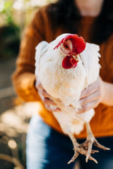 woman holding a white hen