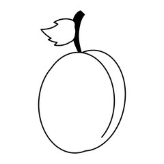 blueberry sweet fruit black and white