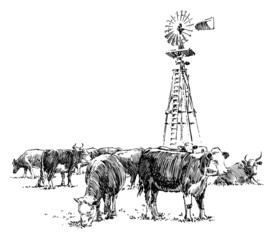 Cows and Windmill
