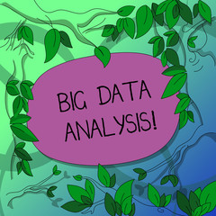 Handwriting text writing Big Data Analysis. Concept meaning complex process of examining large and varied infos sets Tree Branches Scattered with Leaves Surrounding Blank Color Text Space