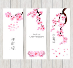 Set of greeting and invitation card with cherry blossom  Spring composition with sakura. Vector illustration