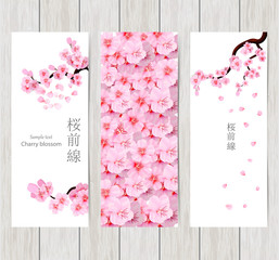 Set of greeting and invitation card with cherry blossom  Spring composition with sakura. Vector illustration