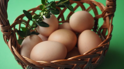 OLYMPUS DIGITAL CAMERA © Magorzata