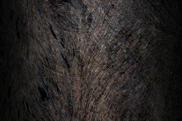 Wood plank texture closeup for background. Gradient light.