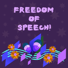 Writing note showing Freedom Of Speech. Business photo showcasing power or right to express ones opinions without censorship Colorful Instrument Maracas Handmade Flowers and Curved Musical Staff