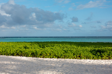 Caribbean Beach in Punta Cana