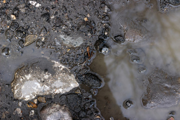 Asphalt crack fracture with old cobblestone and puddle surface texture