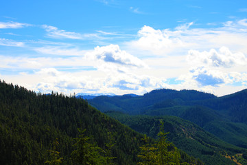 Fototapeta na wymiar National park Mount Rainier in Norh America beautiful landscape