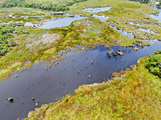 Aerial view of tropical rain forest, jungle in Brazil. Green Wetland forest with river, lush ferns and palms trees. Praia do Forte, Brazil