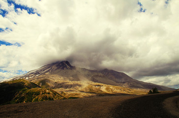 Fototapeta premium National park Mount Rainier in Norh America beautiful landscape