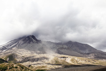 National park Mount Rainier in Norh America beautiful landscape