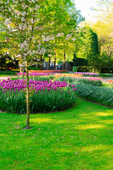 Obraz premium Formal spring garden