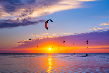 Kite-surfing against a beautiful sunset. Many silhouettes of kites in the sky. Holidays on nature. Artistic picture. Beauty world.
