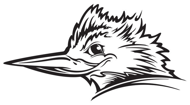 recommend clip art: Kingfisher bird