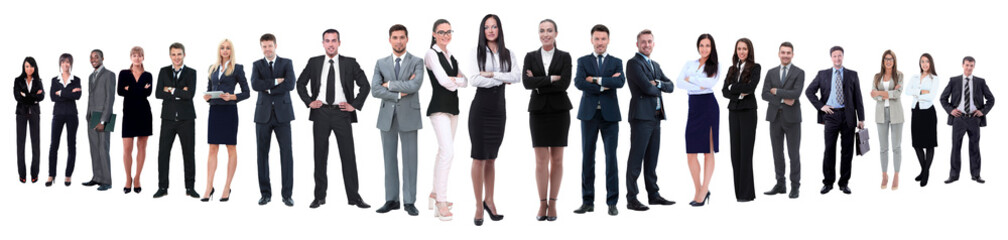 panoramic photo of a professional numerous business team