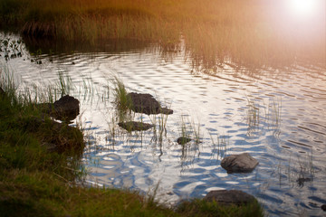Ribera de lago