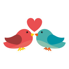 birds couple kiss with heart