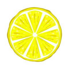 White background, juicy citrus. Yellow Lemon. Vector illustration