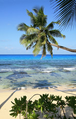 lagoon with clear blue water, tropical greenery and rocks with beach