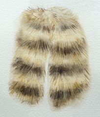 Tails from fur watercolor