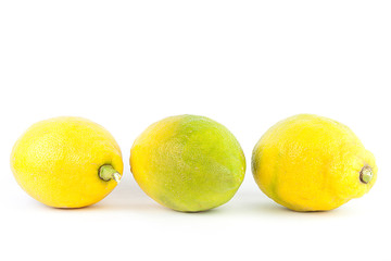 LIMONES AMARILLOS SOBE FONDO BLANCO