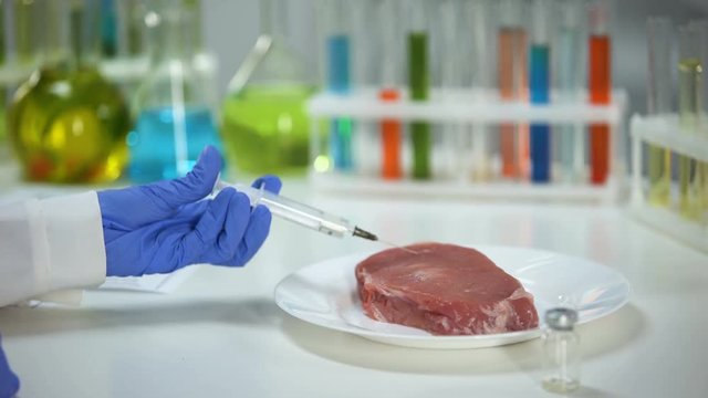Lab worker injecting medication into meat sample, african swine flu analysis