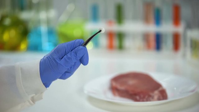 Veterinarian holding tablet, meat sample on background, antibiotic testing