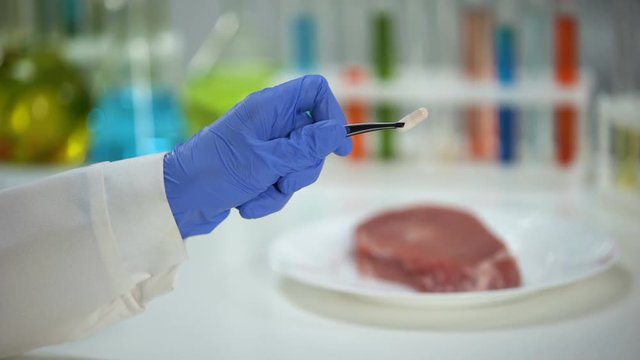 Vet lab worker holding capsule, meat sample on background, medication testing