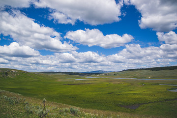 Yellowstone national park landscape.  Green grass with blue sky, big and flowy clouds, small rivers. Picture for wallpaper. National Park in United States. 