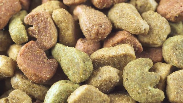 Dry dog and cat food close up