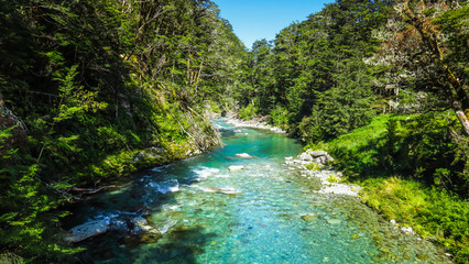 Day hike on the Routeburn Track near Queenstown