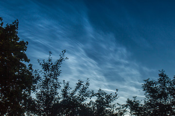 Silvery clouds, beautiful night sky, outlines of trees.