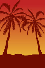 Naklejka na ściany i meble Tropical landscape. Summer background. Palm trees silhouette. Vector illustration